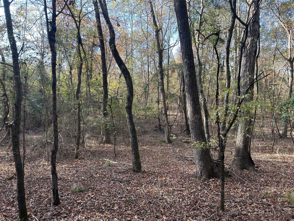Picture 16