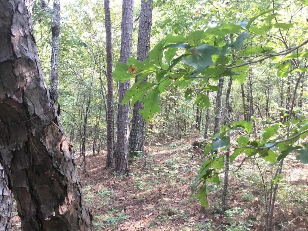 Picture 14