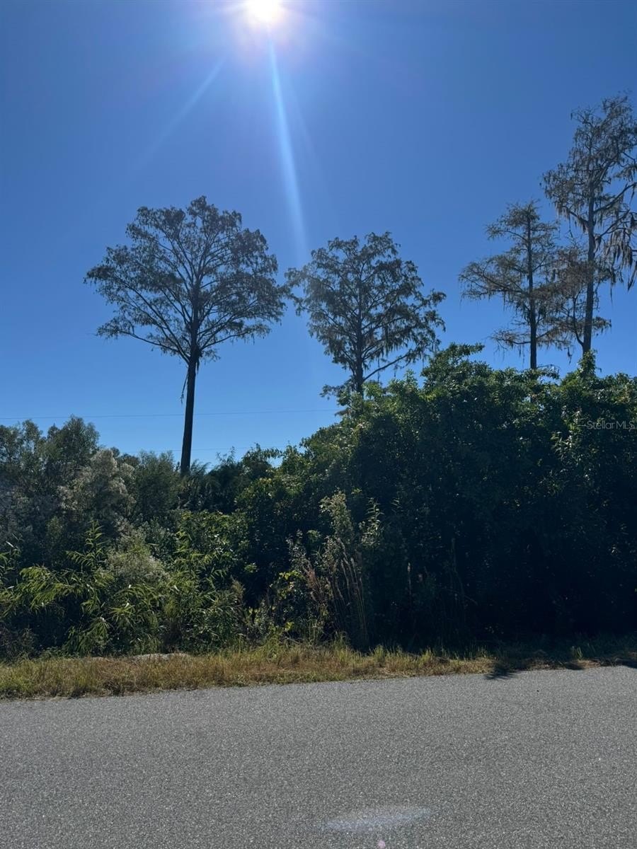 Residential Lot in Palm Bay