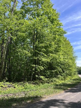 LAND - Elmira, MI