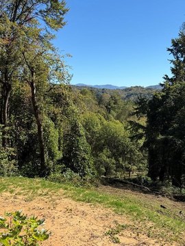 Land Near Smoky Mountains Park