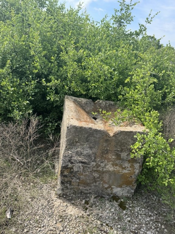 Picture 6