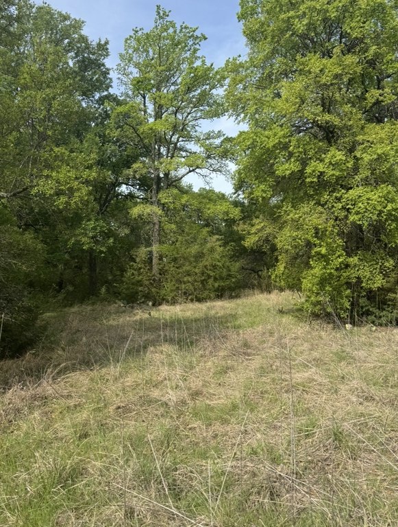 Picture 4
