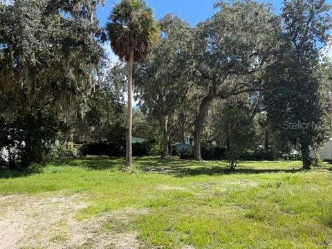 Land, LAKE PANASOFFKEE, FL