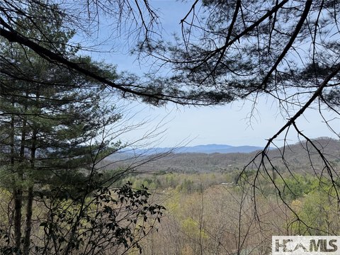 Whittier, NC Land with Lots