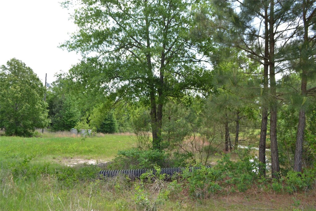 Picture 8
