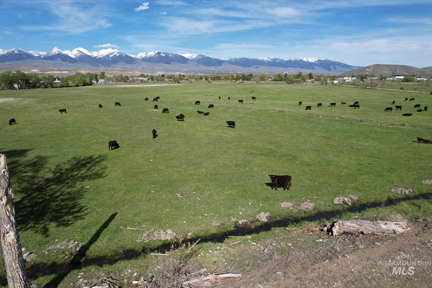 Riverfront Acreage in Salmon, ID