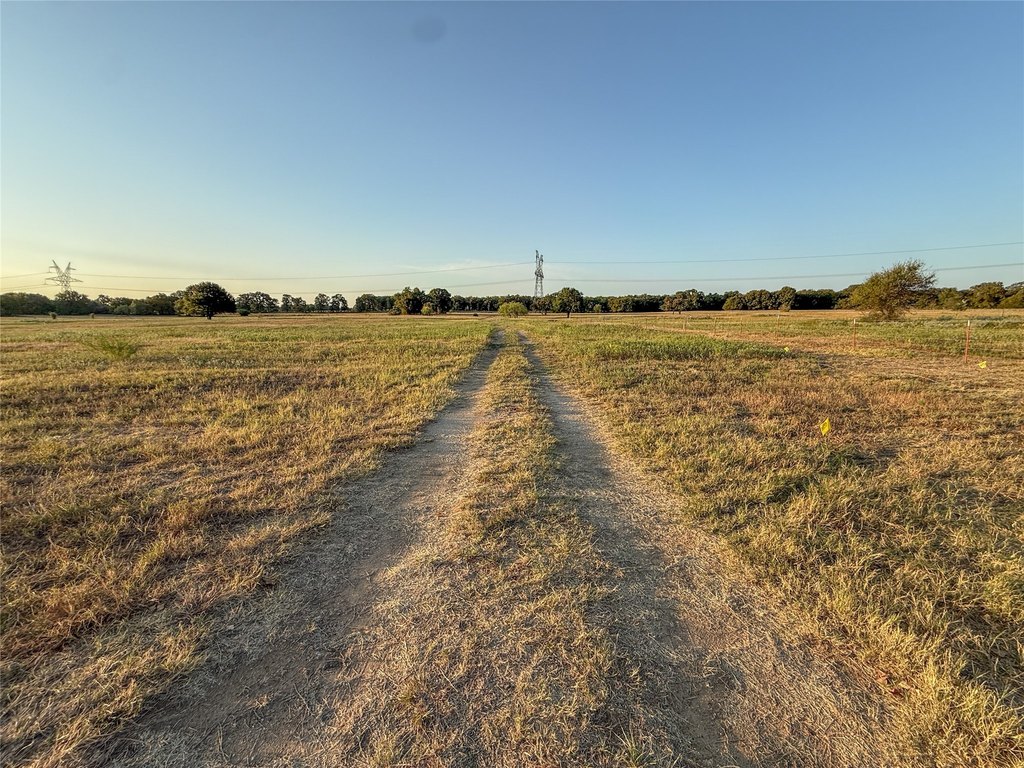 Picture 19