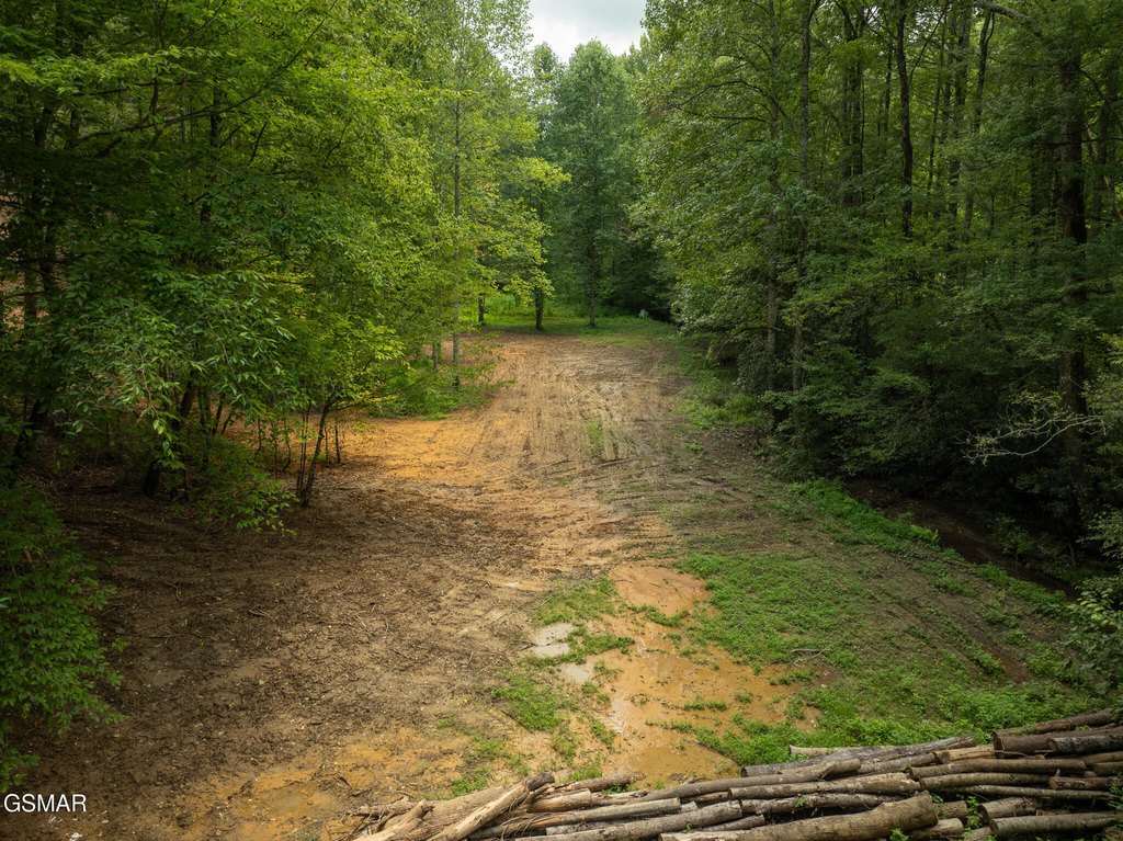 Picture 21