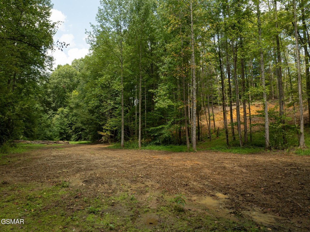 Picture 17