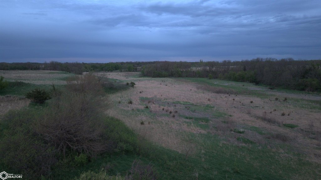 Picture 13