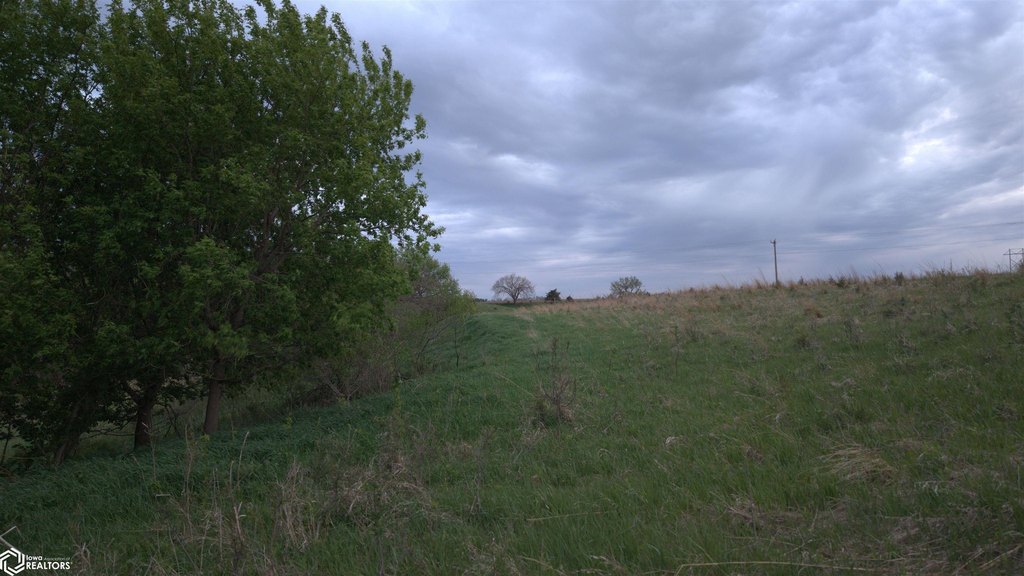 Picture 12