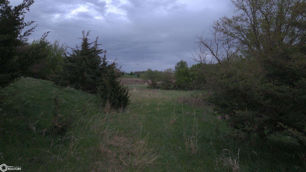 Picture 9