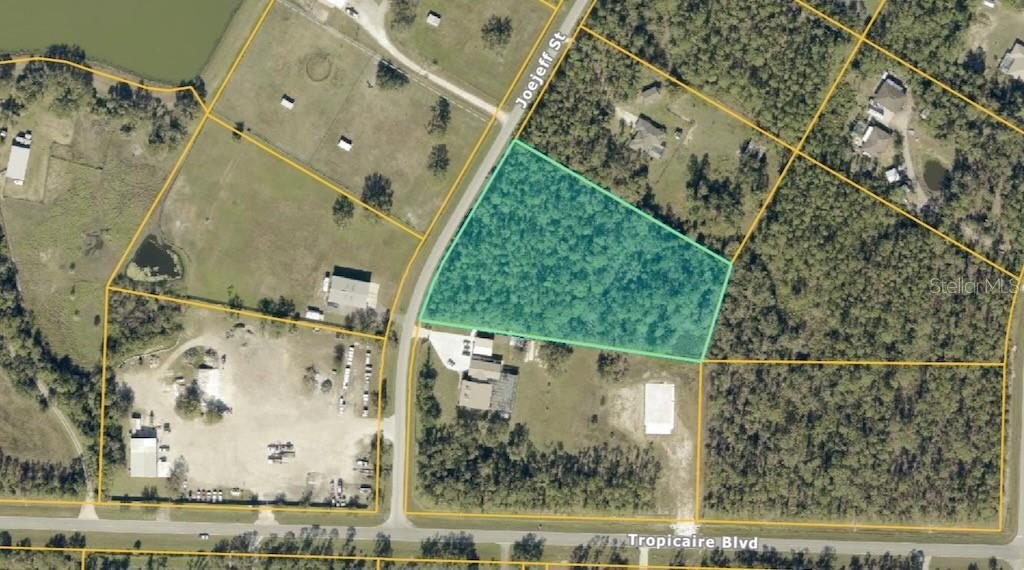 Spacious Wooded Land Parcel