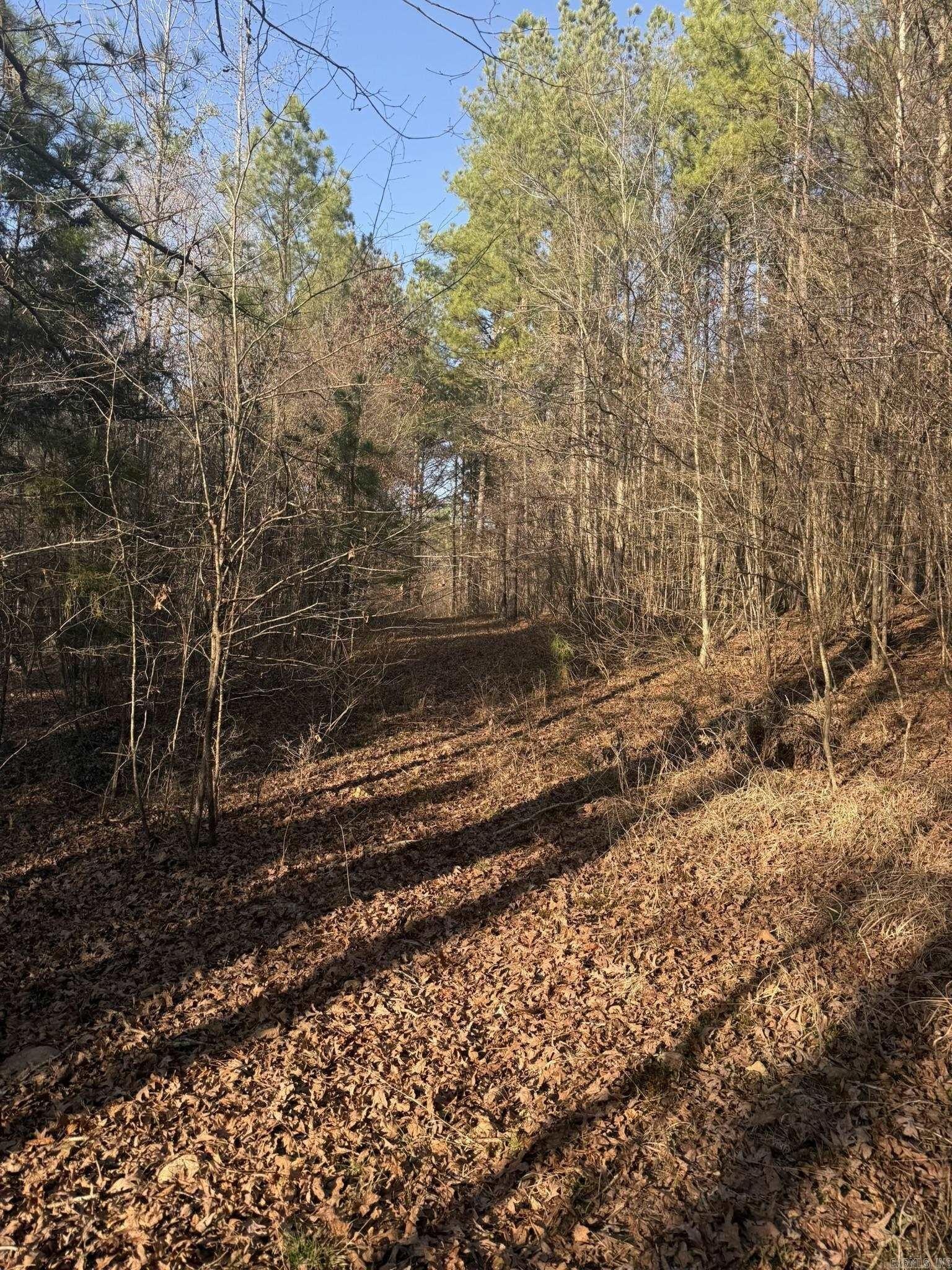 Land Near Little Missouri River