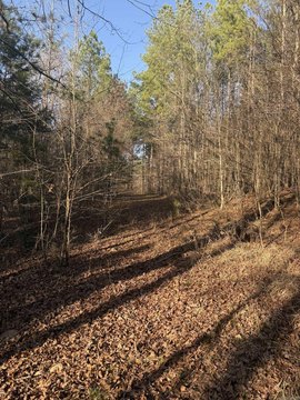 Land Near Little Missouri River