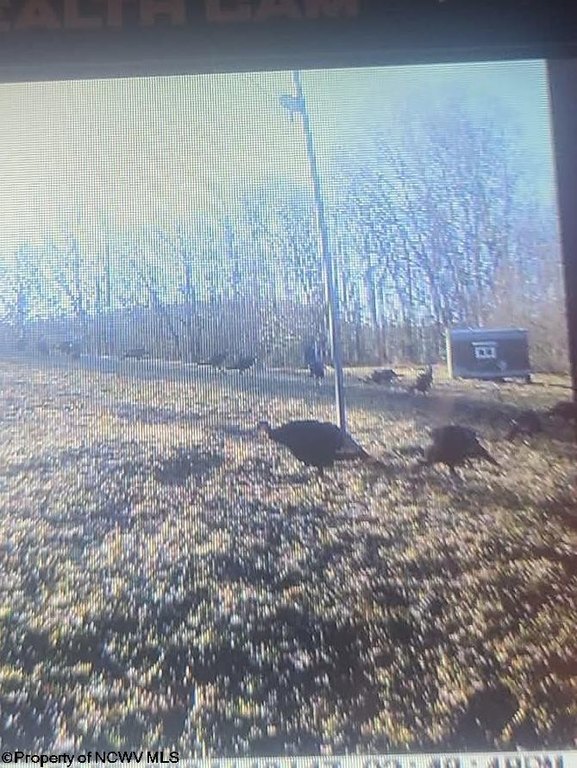 Picture 30