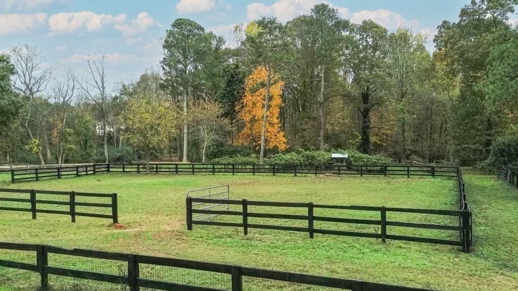 Picture 41