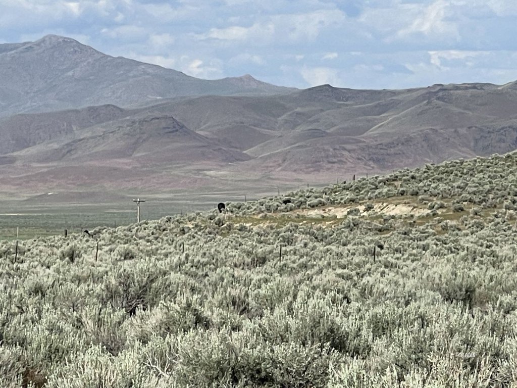 Picture 22