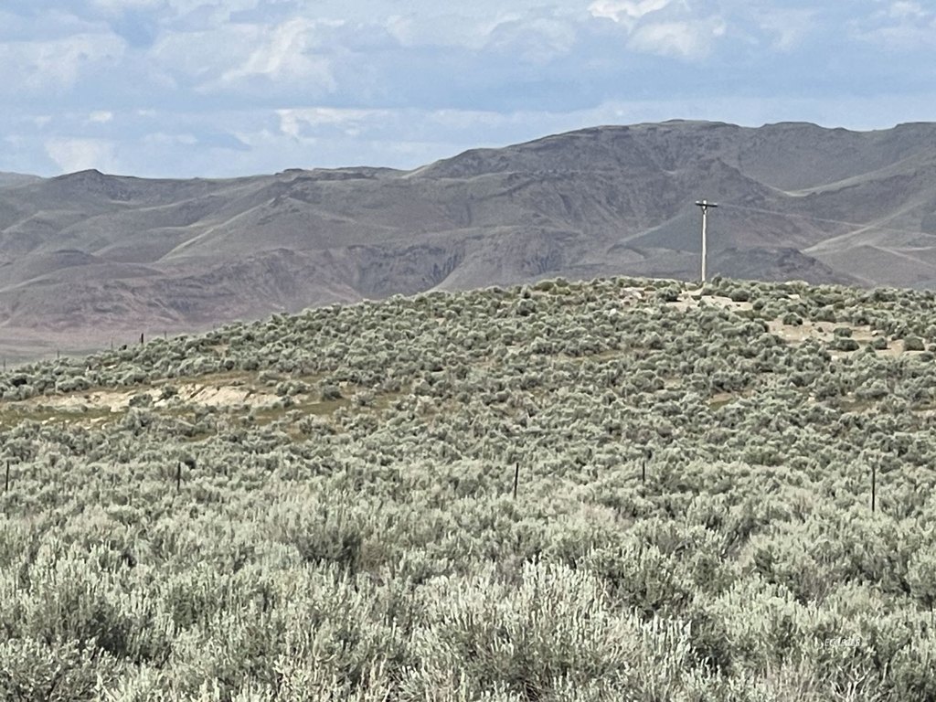 Picture 21