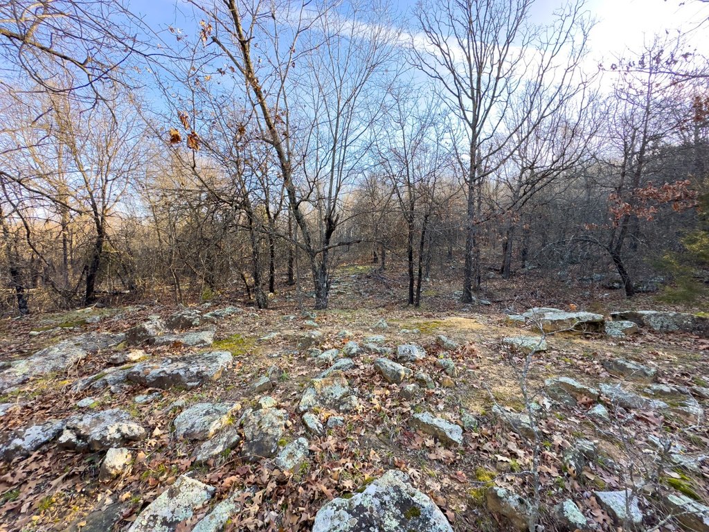 Picture 48