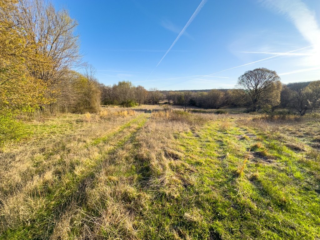 Picture 34