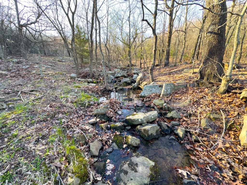 Picture 45