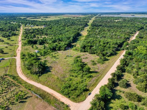 Wooded Land in Mexia, Texas