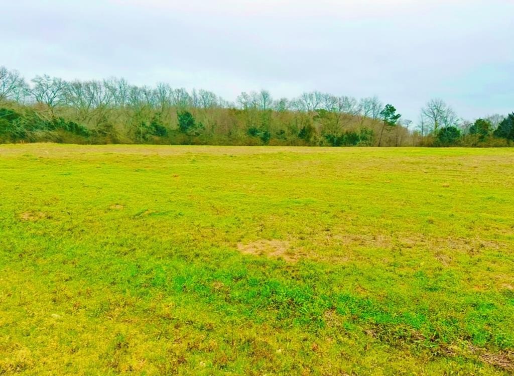 5 Acre Property in Slocomb