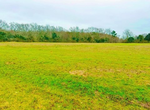 5 Acre Property in Slocomb