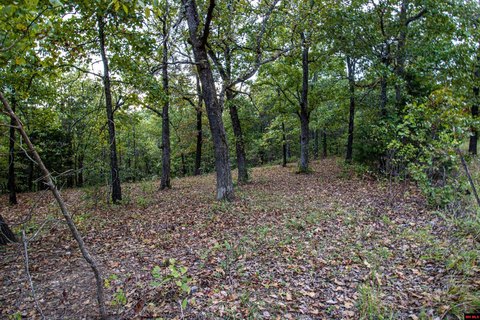 LAND, Mountain Home, AR