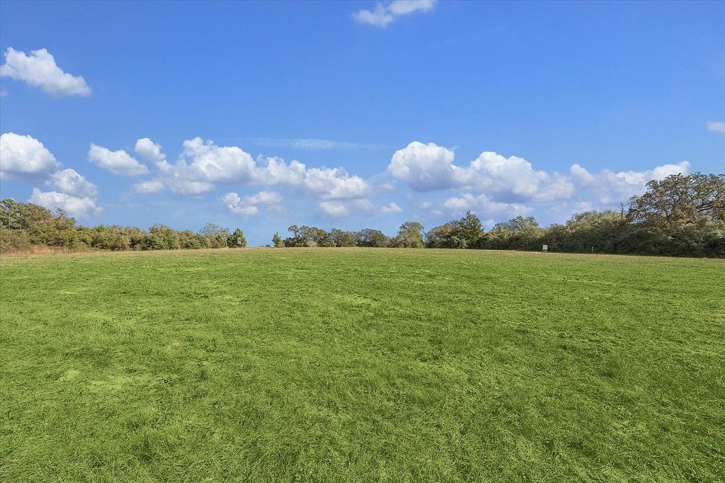 Picture 17
