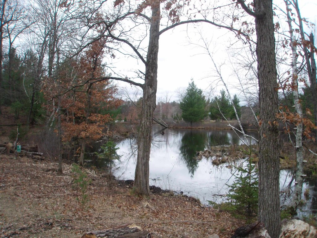 Picture 3
