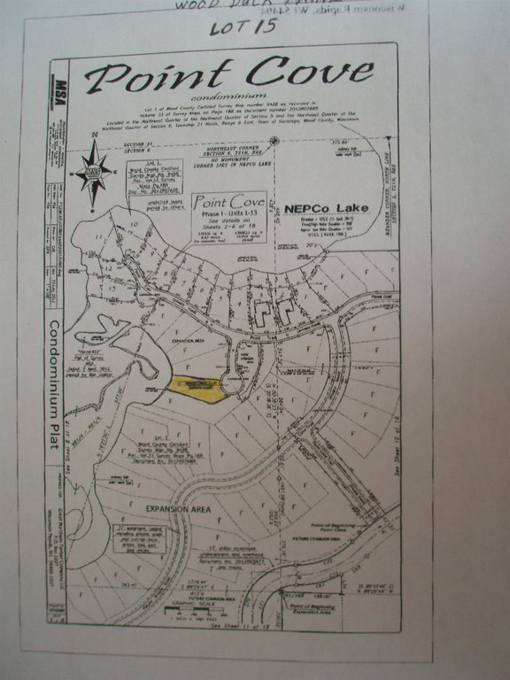 Picture 9
