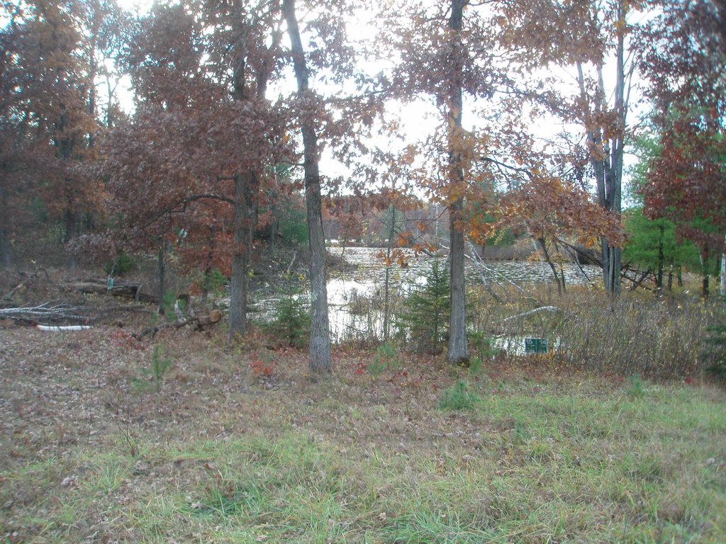 Picture 4
