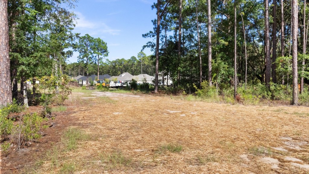 Picture 8