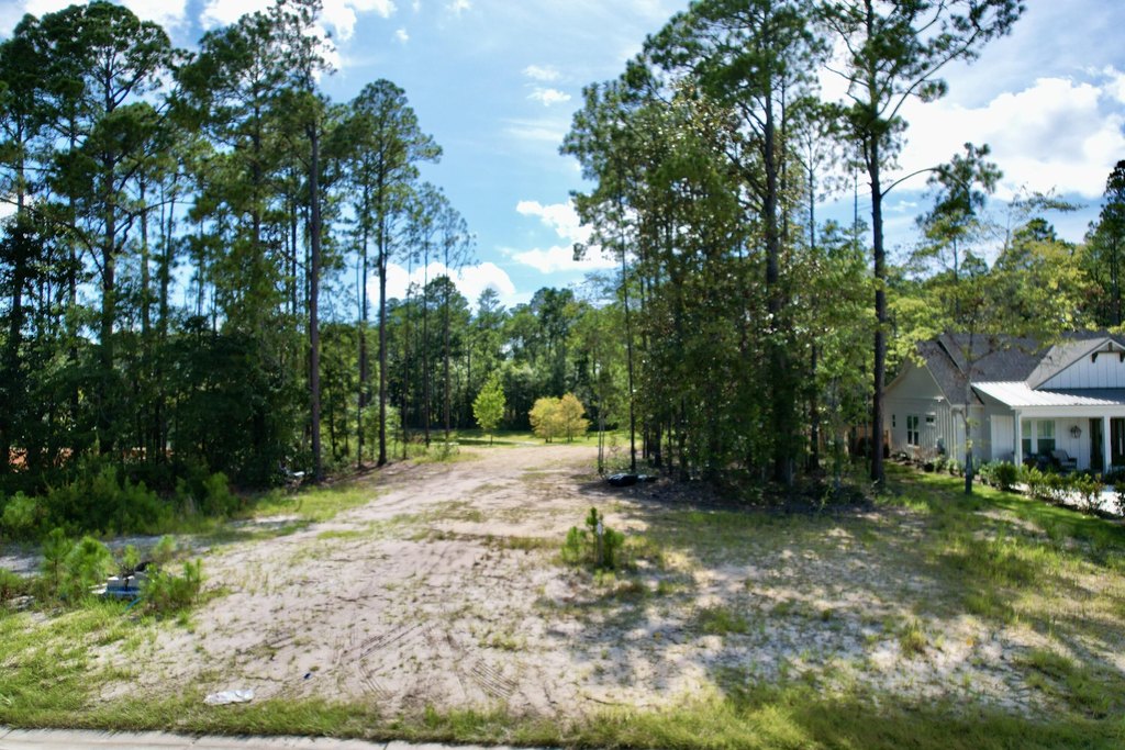 Picture 16