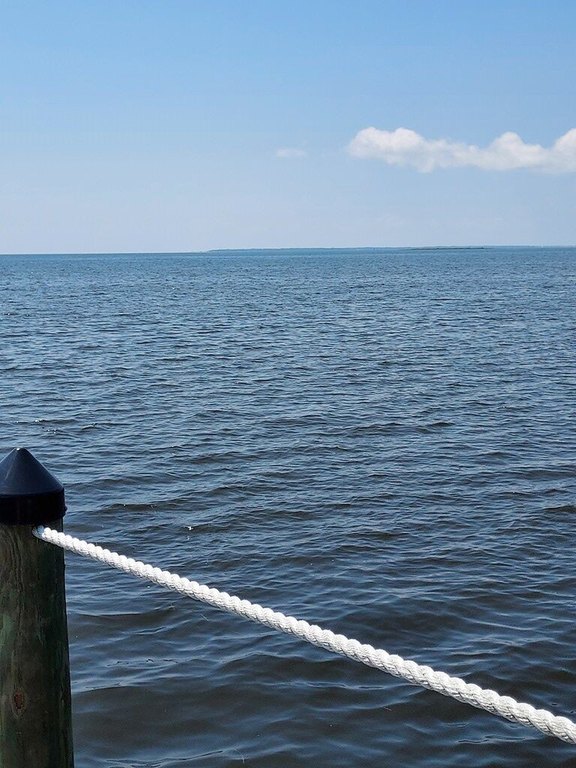 Picture 30