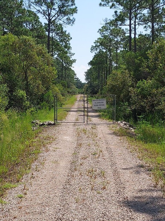 Picture 21
