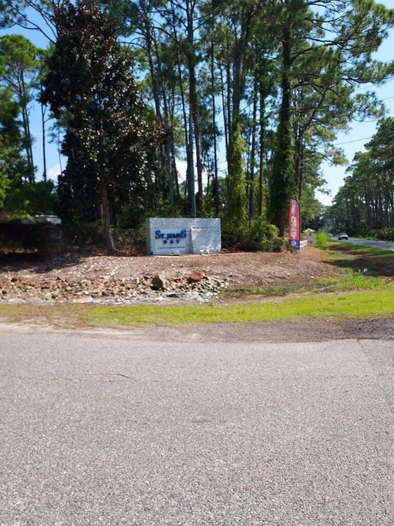 Picture 16