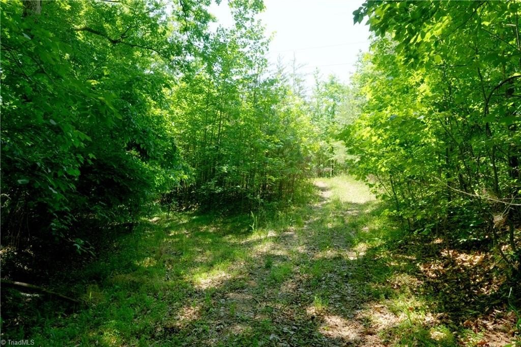 Picture 9