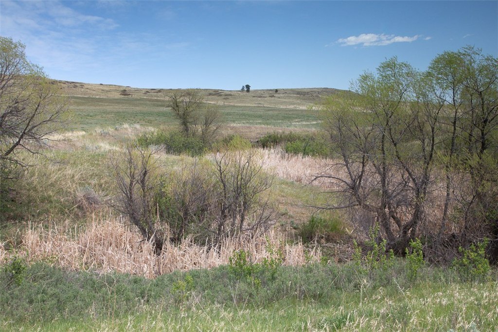 Picture 19