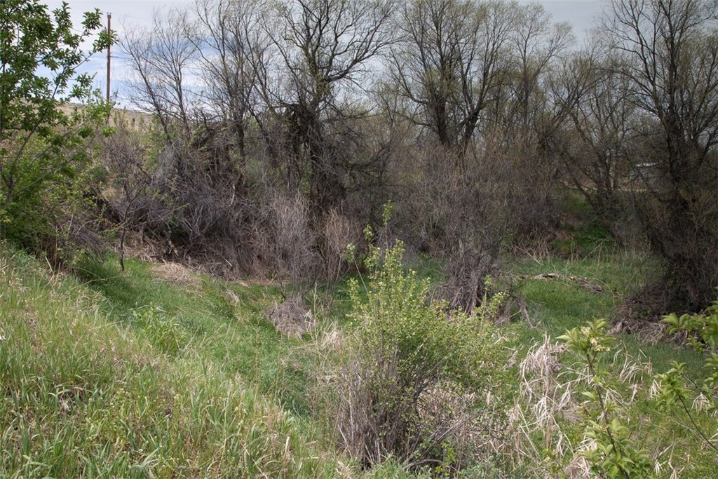 Picture 11