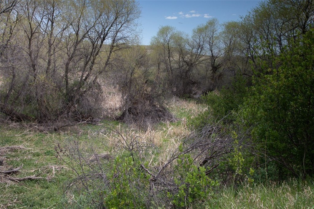 Picture 10