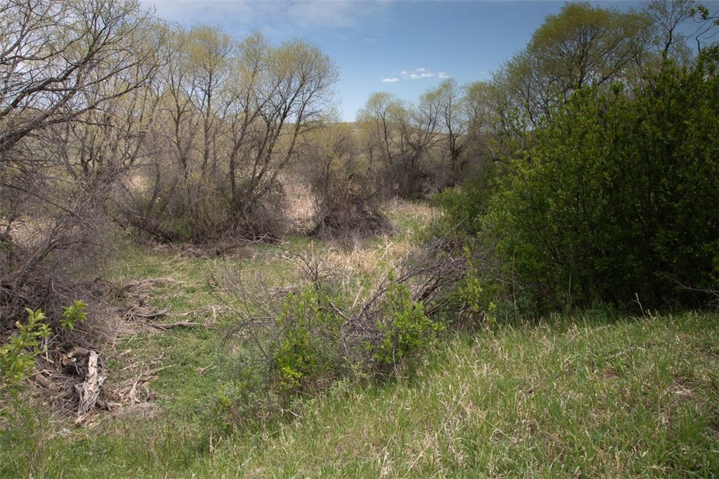 Picture 12