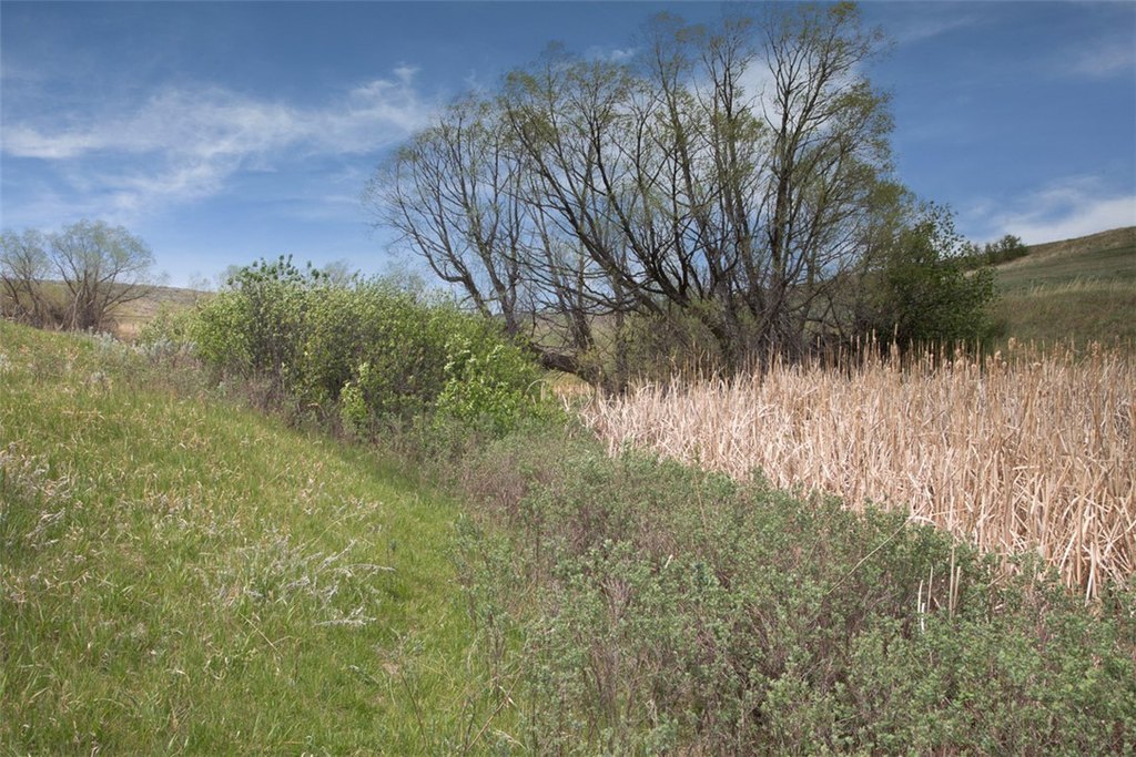 Picture 20