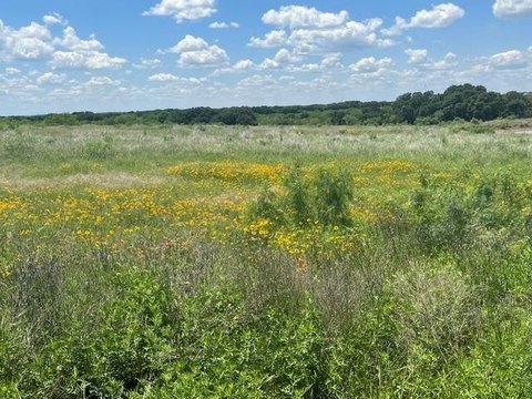 Blanket, TX Land with Pond
