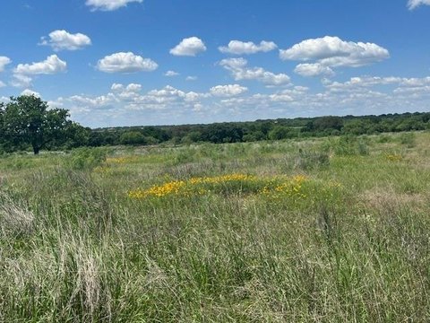 Land with Pond in Blanket, TX