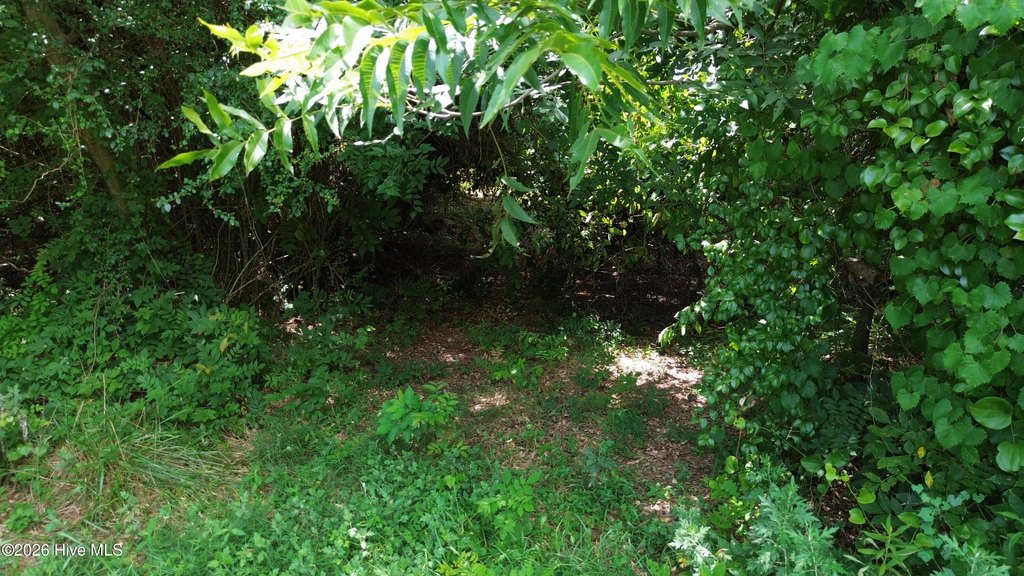 Picture 7