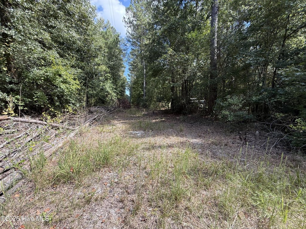Picture 4